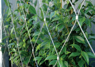 YT-1630 Stainless Steel Trellis Greenery System 7x7 / 7x19 Cable Structures