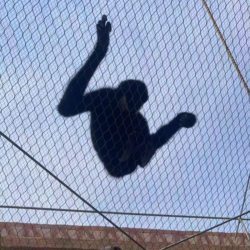 Stainless Steel Wire Rope Zoo Fencing Mesh Flexible Cable Netting For Bird Aviary