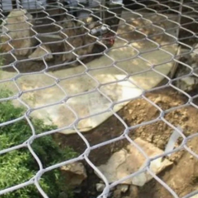 1.5mm with hole size 30mm  Aviary Wire Netting Excellent Corrosion Resistance