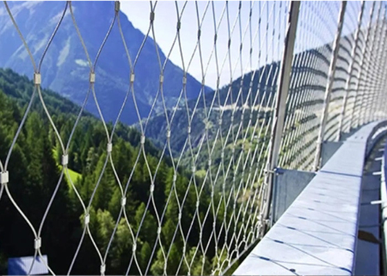 Maille adaptée aux besoins du client 3,0 millimètre 80*80 millimètre de câble métallique d'escalier