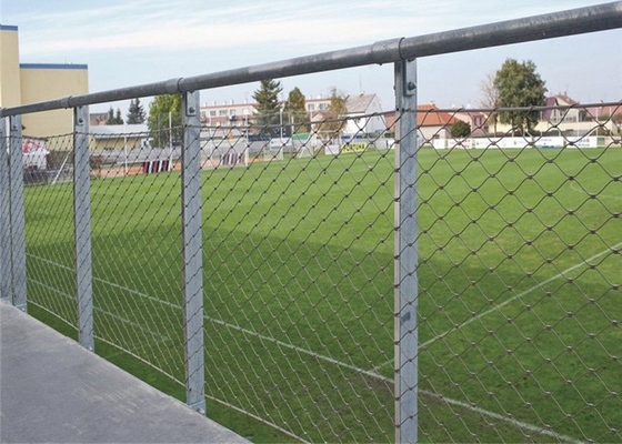 trou de Mesh Non Rusting 25x25mm de fil de corde de 3.0mm