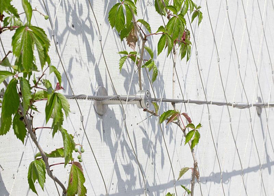 SS 316 filetage en fil d'aileron pour oiseaux - clôture de zoo en acier inoxydable