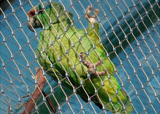 Trou flexible adapté aux besoins du client de Mesh For Bird Netting 30x30 millimètre de volière d'acier inoxydable