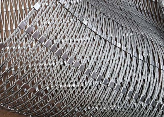 le fil solides solubles X de 2.0Mm tendent le câble Mesh With Ferrule Non Rusting pour protecteur