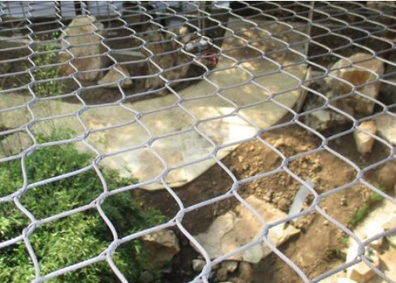 La longévité élevée SUS316 a enfermé le fil Mesh Animal Wire Mesh de zoo