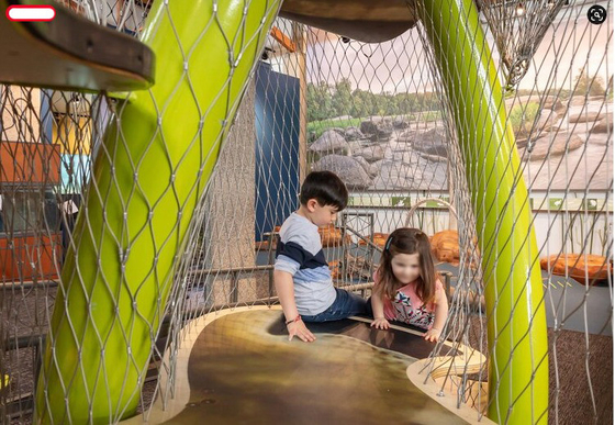 Sécurité du parc d'attractions 10 mm filet en acier inoxydable avec maillage en ferrule anti-acide anti-alcalin