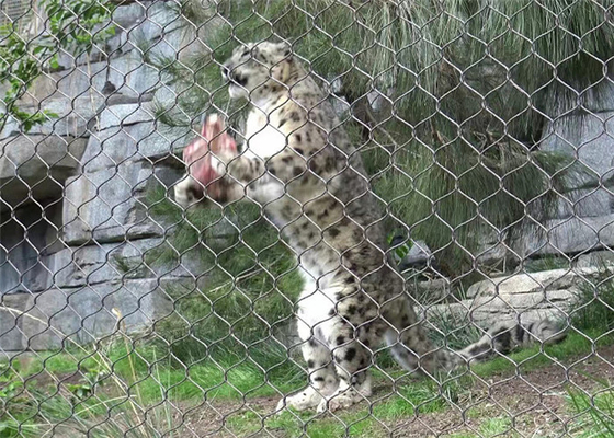 Réseau de câbles SS 304 pour enceinte de lion