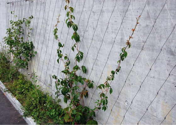 Le treillis qui respecte l'environnement de mur de fil de jardin bagué/a noué anti- la maille corrosive