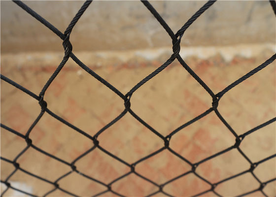 Anti câble métallique UV d'oxyde de noir d'olive, CE tissé de maille de zoo de câble métallique approuvé