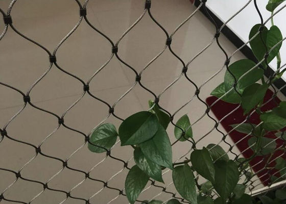 Trellis en treillis métallique en acier inoxydable pour murs végétaux - Tailles personnalisées