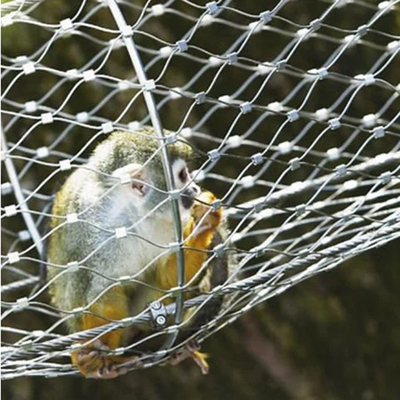 La mise en place d'un réseau de câbles pour les cages pour animaux en SS304 SS316