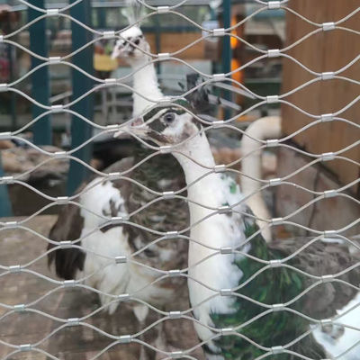 Réseau de fil d'oiseau Maillage de câble à câbles flexibles pour enclos de zoo