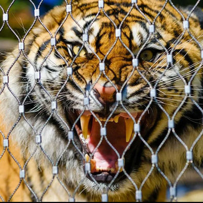 Réseau de câbles en acier inoxydable 316 pour enclos d'aviaries de zoo