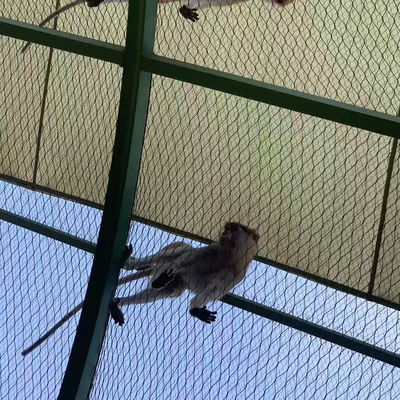 Filet en treillis métallique tissé en acier inoxydable pour volière d'oiseaux, zoo, enclos, protection de pente