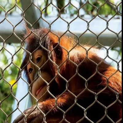 Réseau de protection résistant à la corrosion pour projets de sécurité