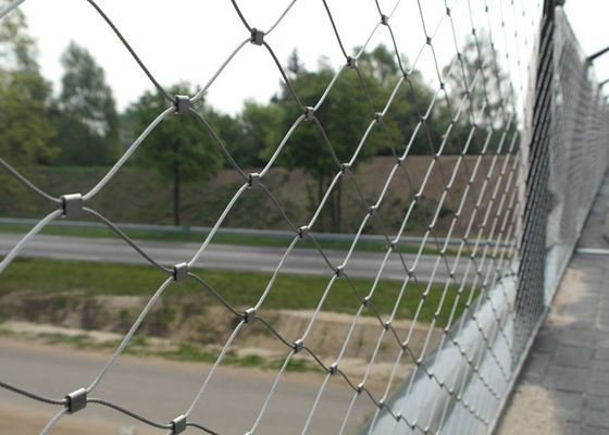 Balustrades de pont et maille 60x60mm de corde d'olive d'acier inoxydable de balustrade