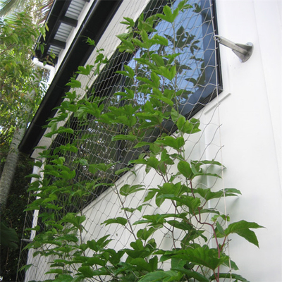 Câble métallique d'acier inoxydable du mur 1.2mm de vert d'Eco Mesh For Green Facade