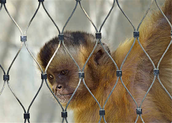 Le câble métallique de haute résistance de 1.5mm Mesh For Aviary Zoo Bird met en cage