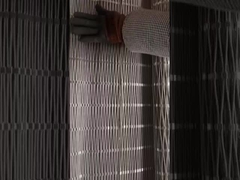 filetage de fil de fer de zoo 2