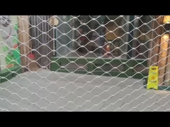 Réseau forestier pour oiseaux