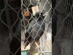 Filet de corde nouée en acier inoxydable robuste et flexible, de type virole souple et durable