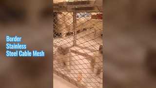 Maille de câble d'acier inoxydable de frontière