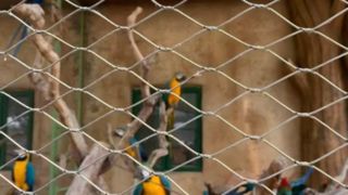 À quoi ressemble un treillis de câbles en acier inoxydable tissé